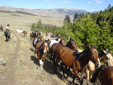 Convoyage de chevaux dans l'état de l'Idaho aux USA